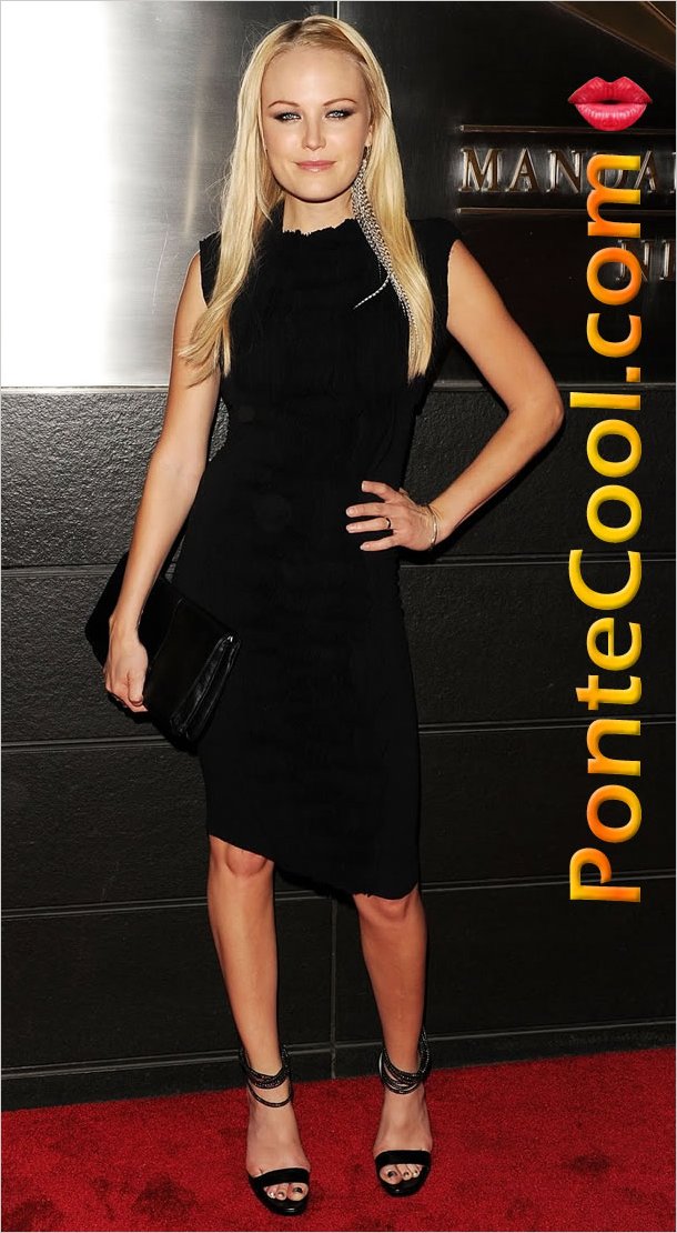 Malin Akerman es la novena mujer más sexys del mundo según Maxim